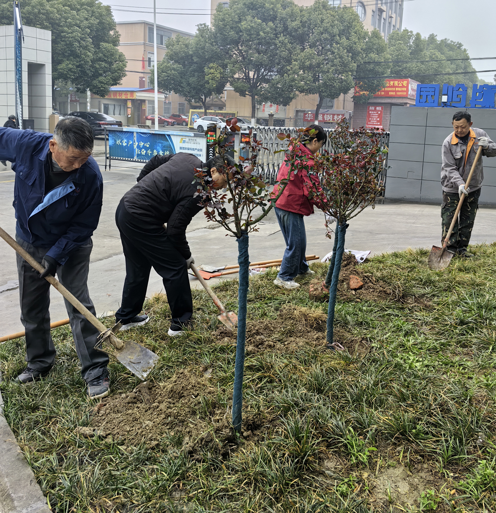 植树节-齐心添新绿 共建生态美厂区