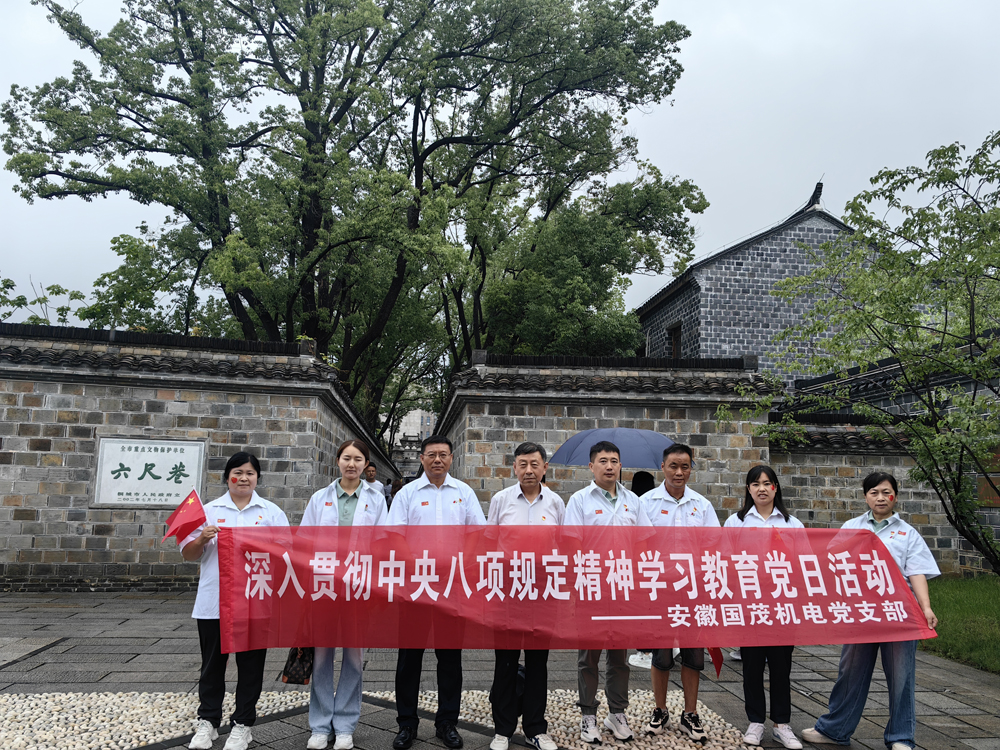 安徽国茂机电党支部开展